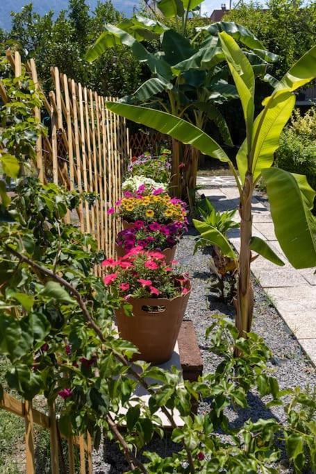 Bougainvillea House With Private Garden Kalamata Exteriör bild