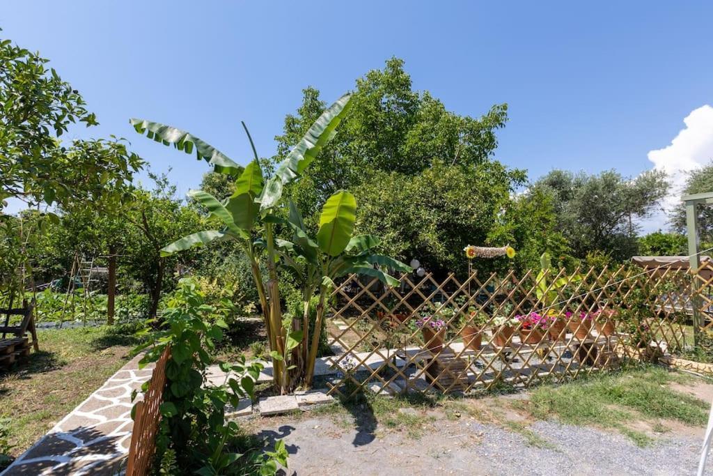 Bougainvillea House With Private Garden Kalamata Exteriör bild