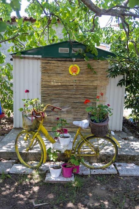 Bougainvillea House With Private Garden Kalamata Exteriör bild